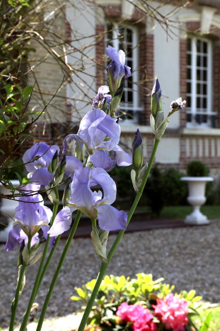 Manoir Le Mesnil Bed and Breakfast Saint-Martin-aux-Chartrains Εξωτερικό φωτογραφία